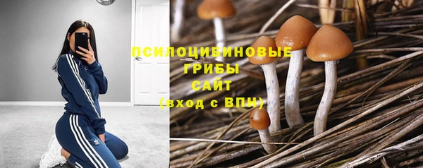 МДПВ Медногорск