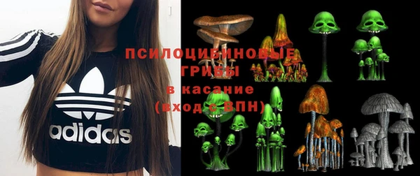 дживик Мегион