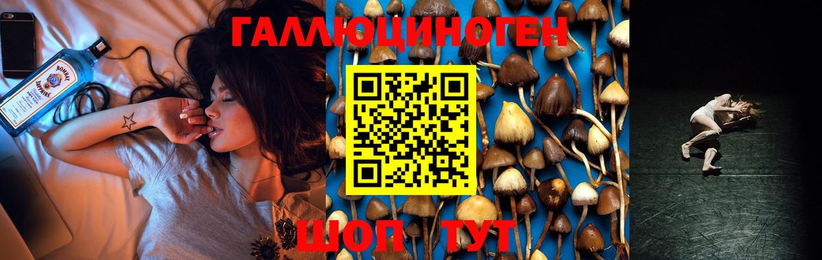 Заринск  Псилоцибиновые грибы ЛСД  Вход с VPN  Псилоцибиновые грибы Psilocybine cubensis 
